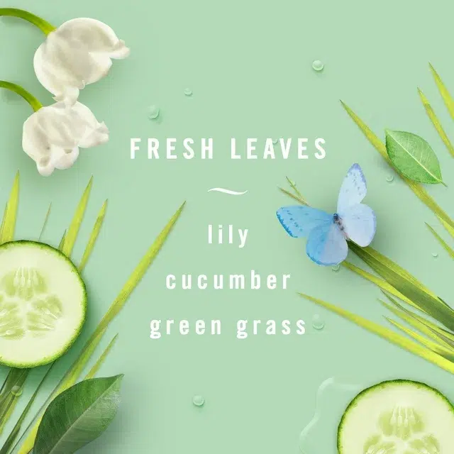 Nước hoa ô tô Febreze Car Fresh Leaves - 2x2ml 12 febreze car air freshener fresh leaves